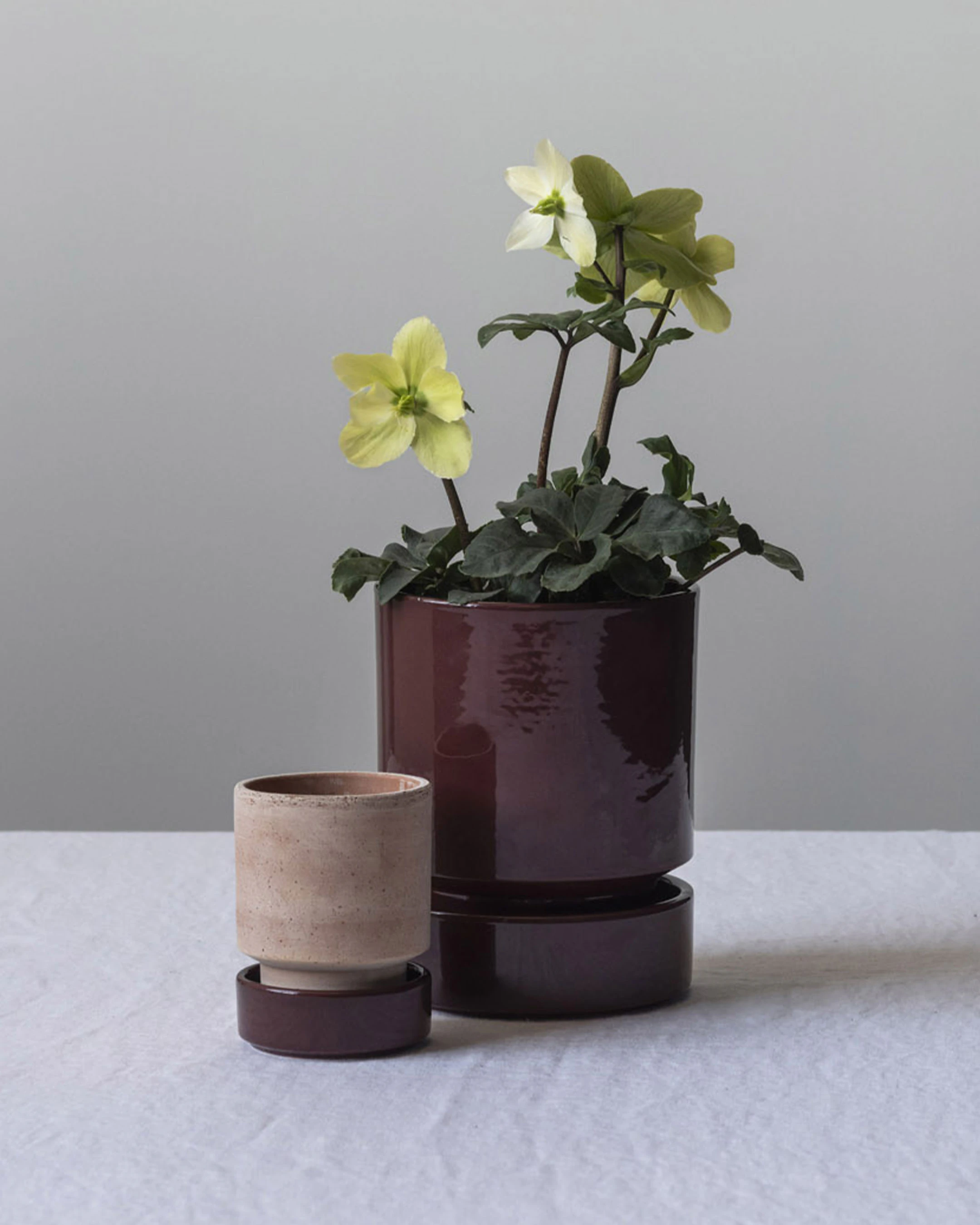 Bergs Potter Hoff Kruka 2-pack, rosa från Bergs Potter, bild 2