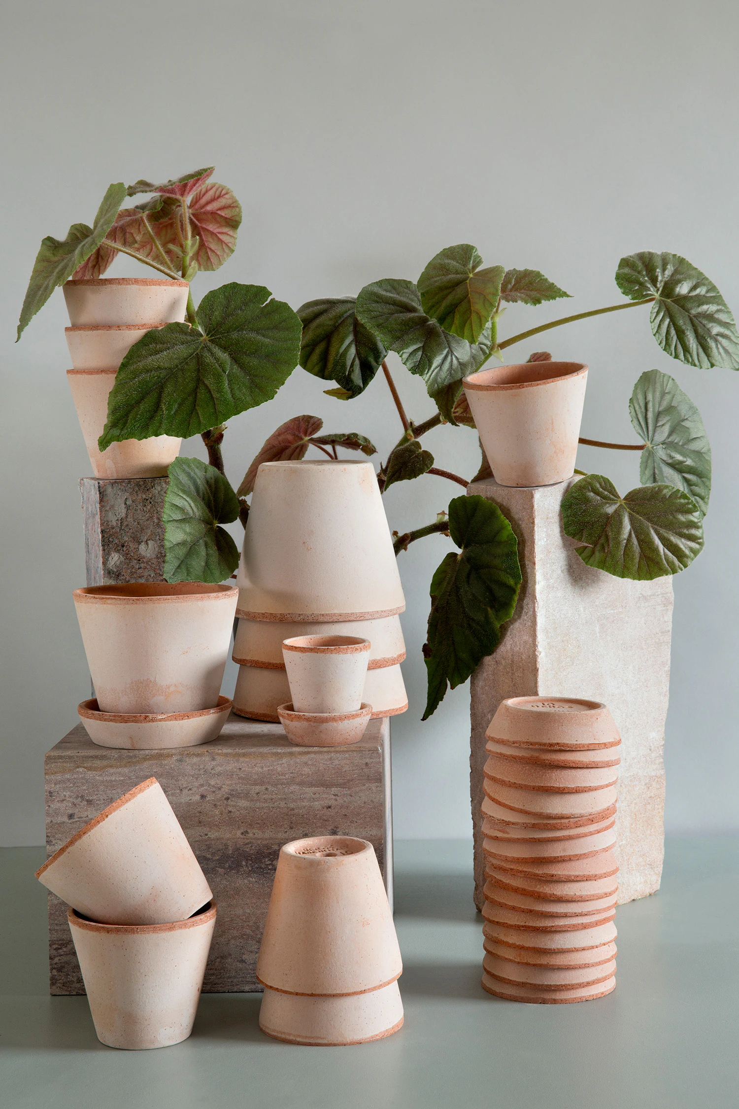 Bergs Potter Julie Kruka Med Fat Ø10 Cm, rosa från Bergs Potter, bild 2