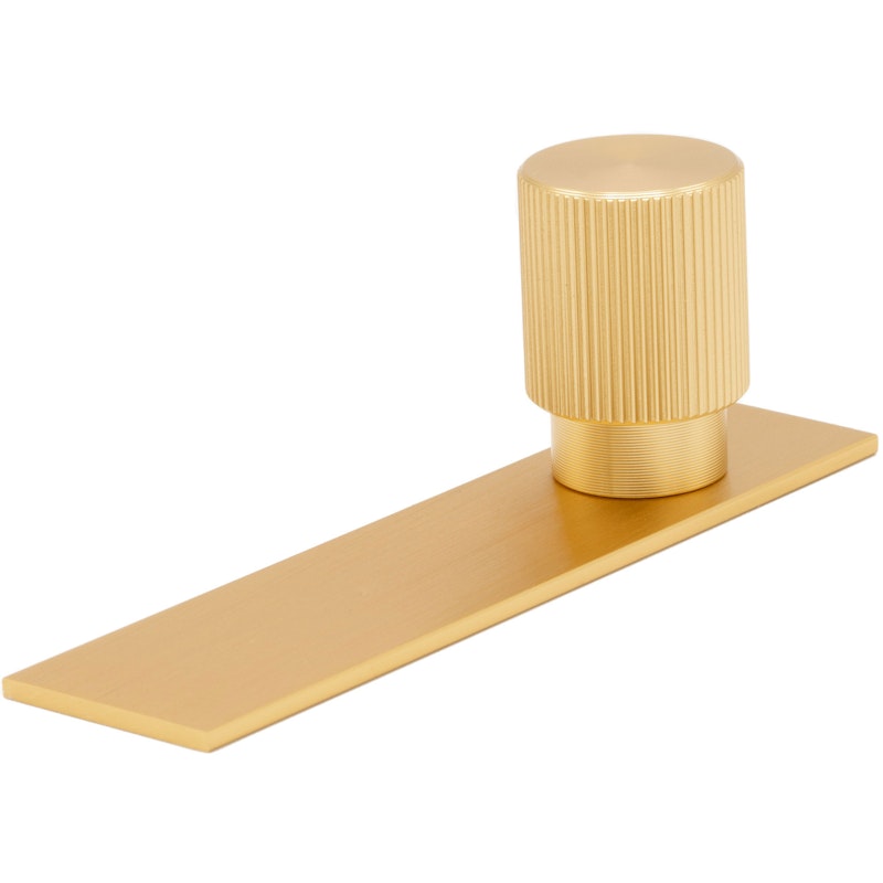 Arpa Knopp Med Bricka 22 mm, Borstad Mässing
