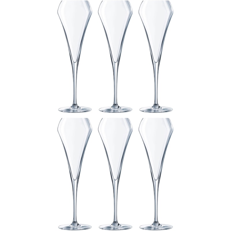 Open Up Champagneglas 20 cl, 6-pack