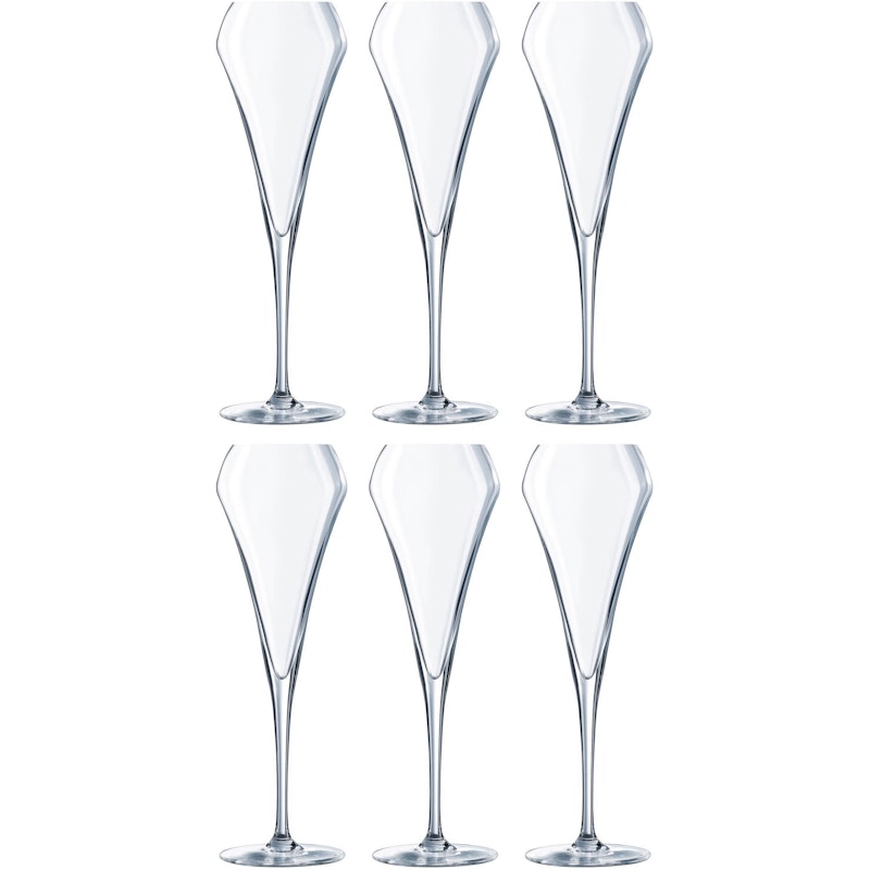 Open Up Champagneglas 20 cl, 6-pack