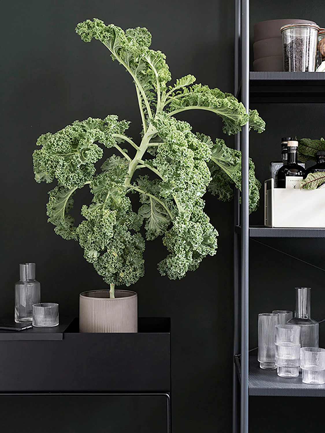 Ferm Living Plant Box Blomlåda 60x65 Cm, svart från Ferm Living, bild 2