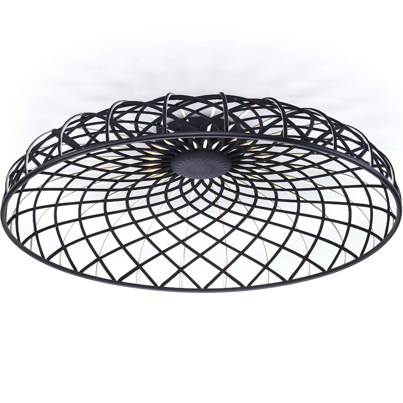 Skynest C Plafond, Antracit