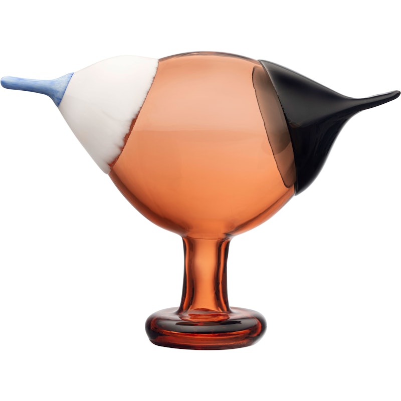 Kustskata Konstglas 250x175 mm, Bitter Orange