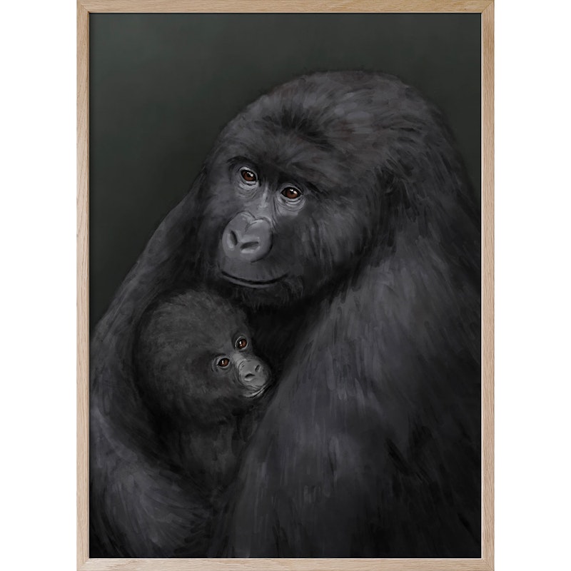 Bergsgorillan Poster, 50x70 cm