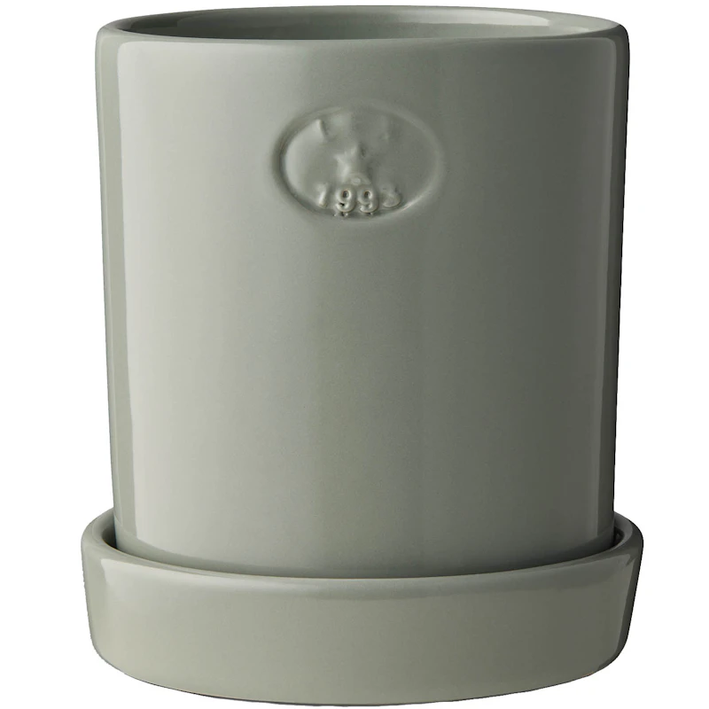 Kruka Med Fat H18 cm, Eucalytus