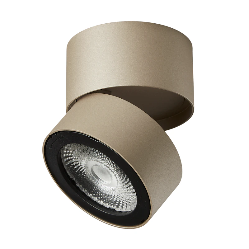 Ray Spot Takspot, Ivory Gold