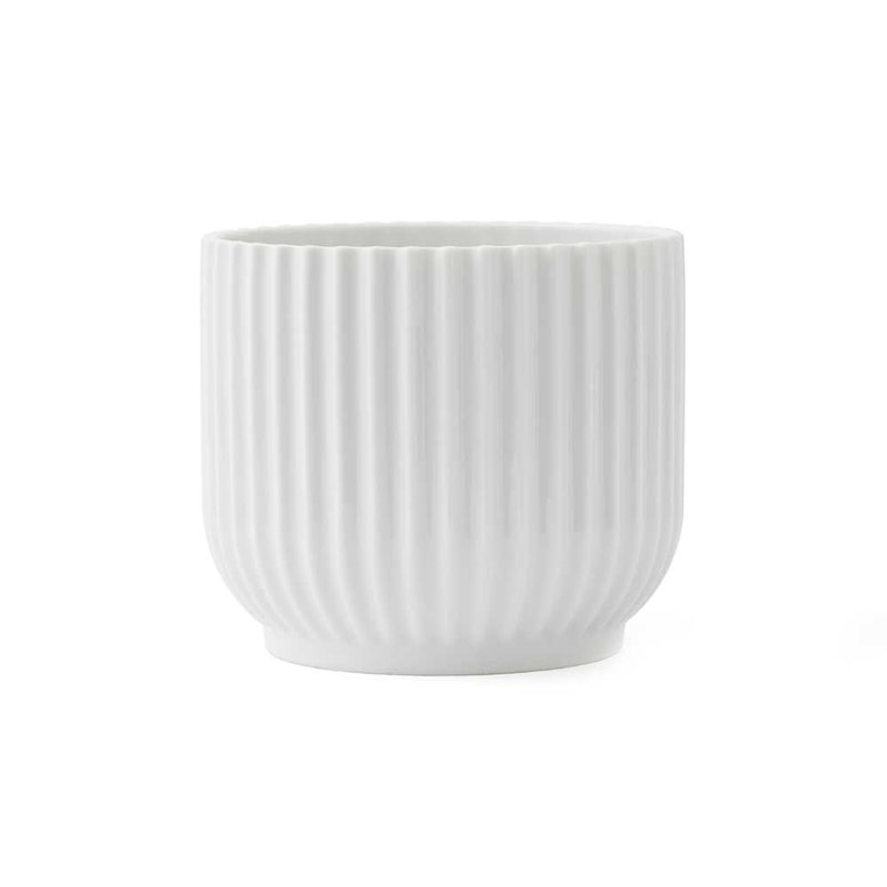 Lyngby Blomkruka Liten, Vit