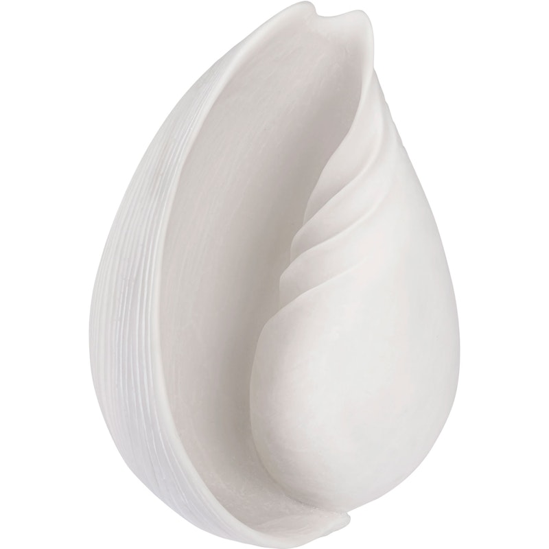 CONCH shell Dekoration Off-white, Stor