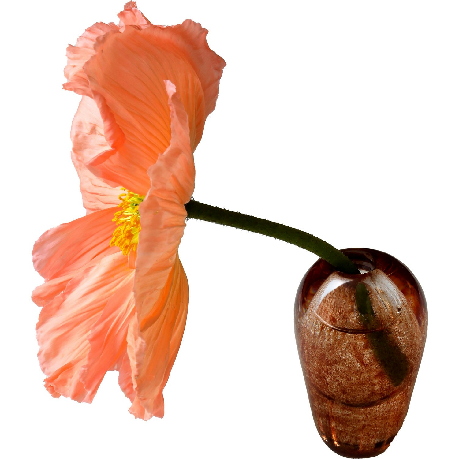 Mimou Liv Vas - Vaser Munbl&aring;st Glas Brun