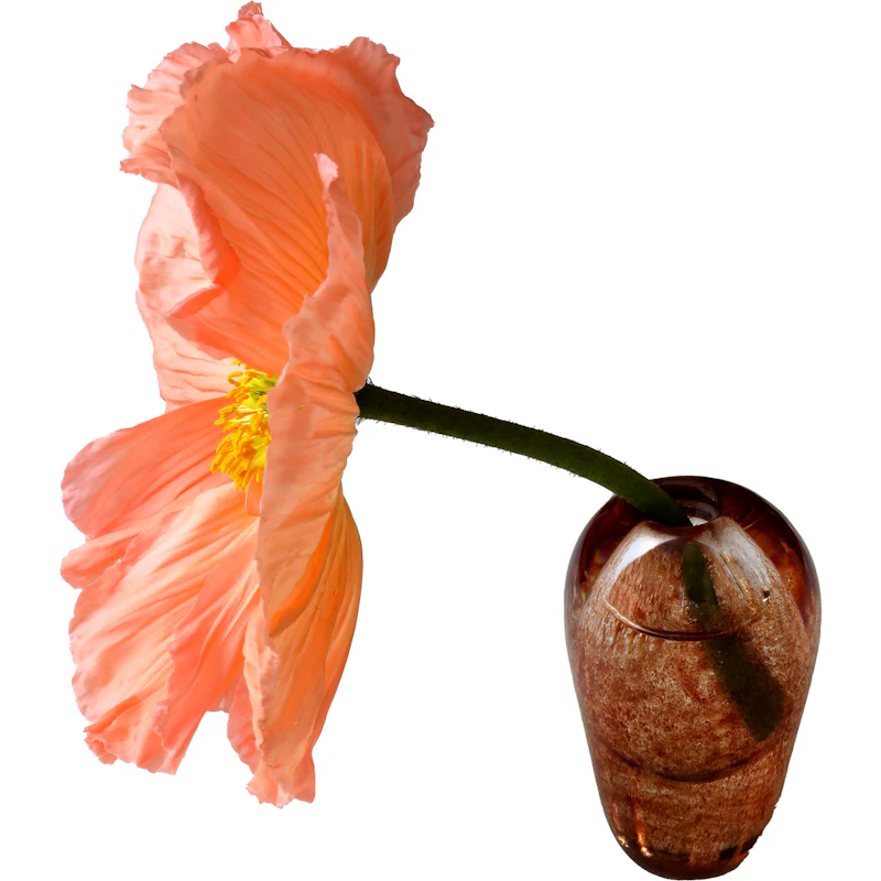 Liv Vas Munblåst Glas, Brun