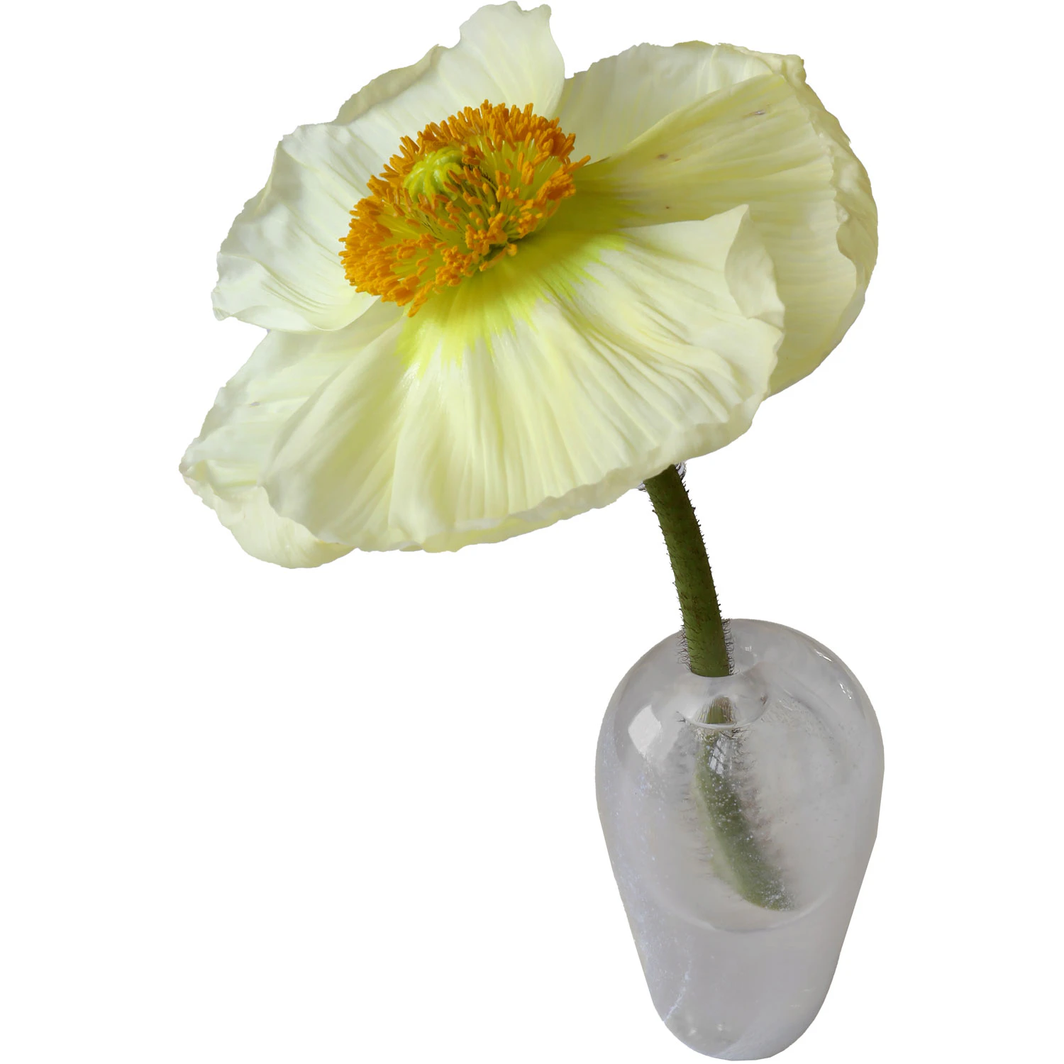 Mimou Liv Vas - Vaser Munbl&aring;st Glas Vit