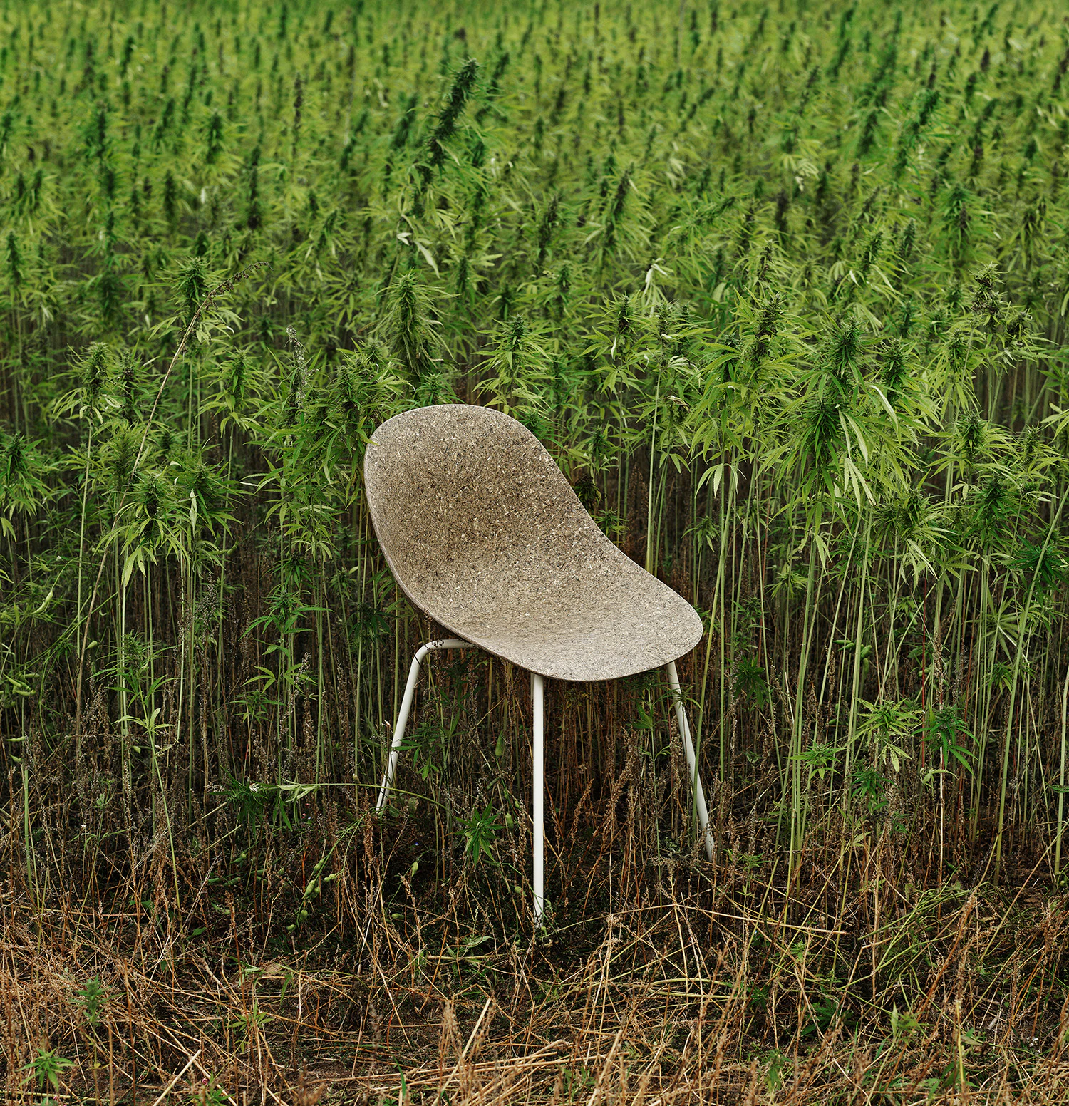 Normann Copenhagen Mat Stol Seaweed /, cream från Normann Copenhagen, bild 5