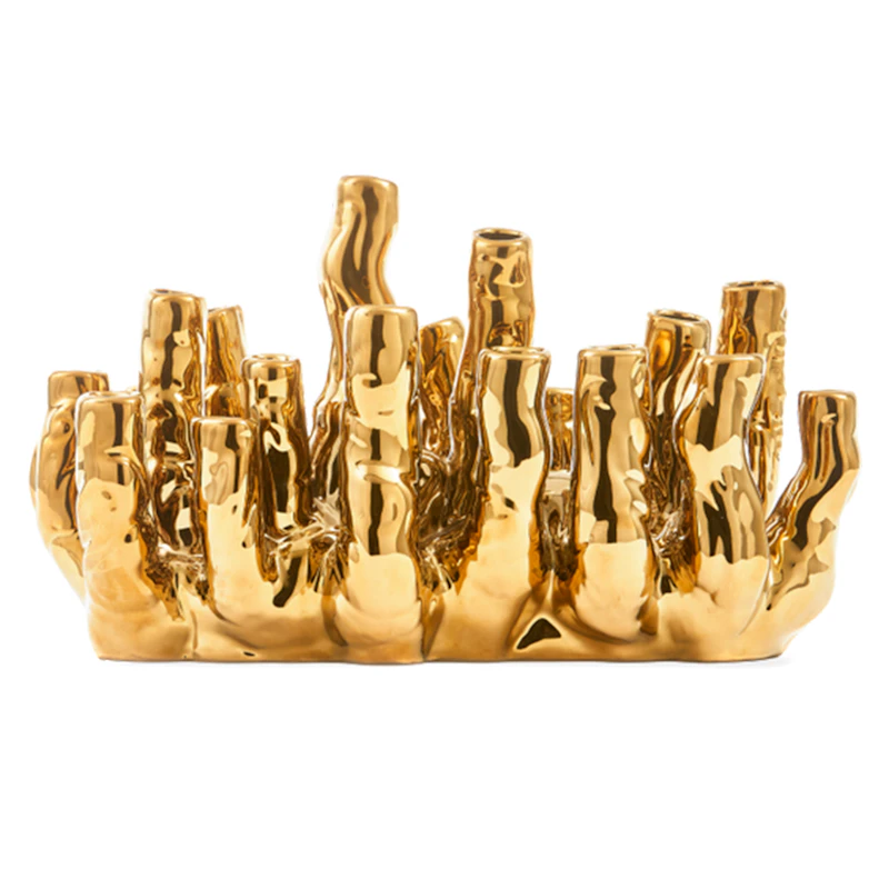 Coral Vas Guld, Reef