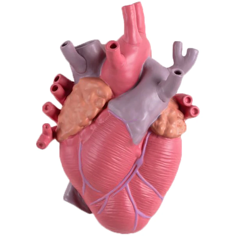 Love In Bloom Vas, Color