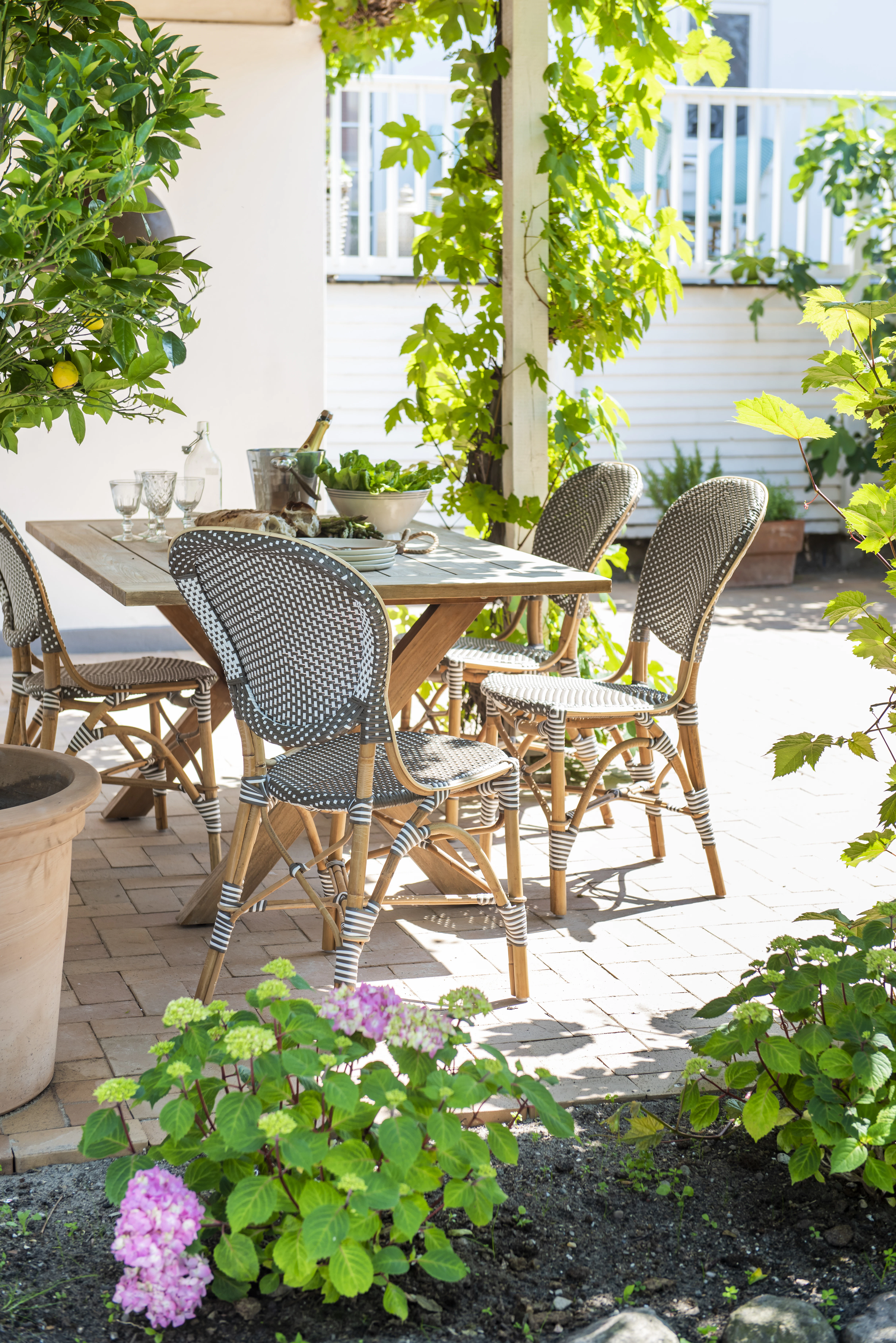 Sika Design Isabell Caféstol, taupe från Sika Design, bild 2