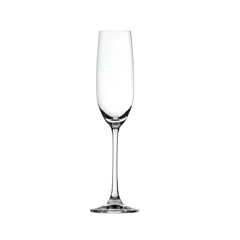 Salute Champagneglas 4-pack, 21 cl