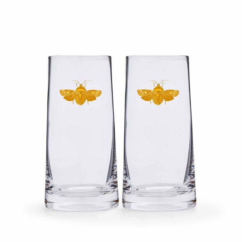 Creatures Of Curiosity Highball - Set of  2