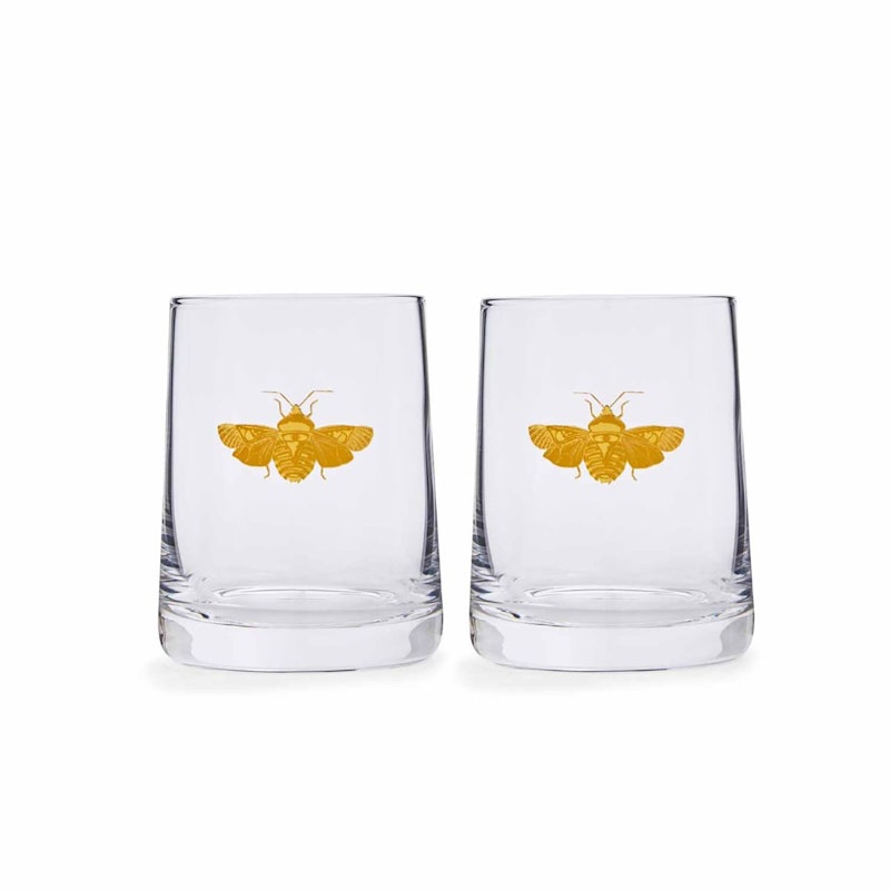 Creatures Of Curiosity Tumbler - Set of  2