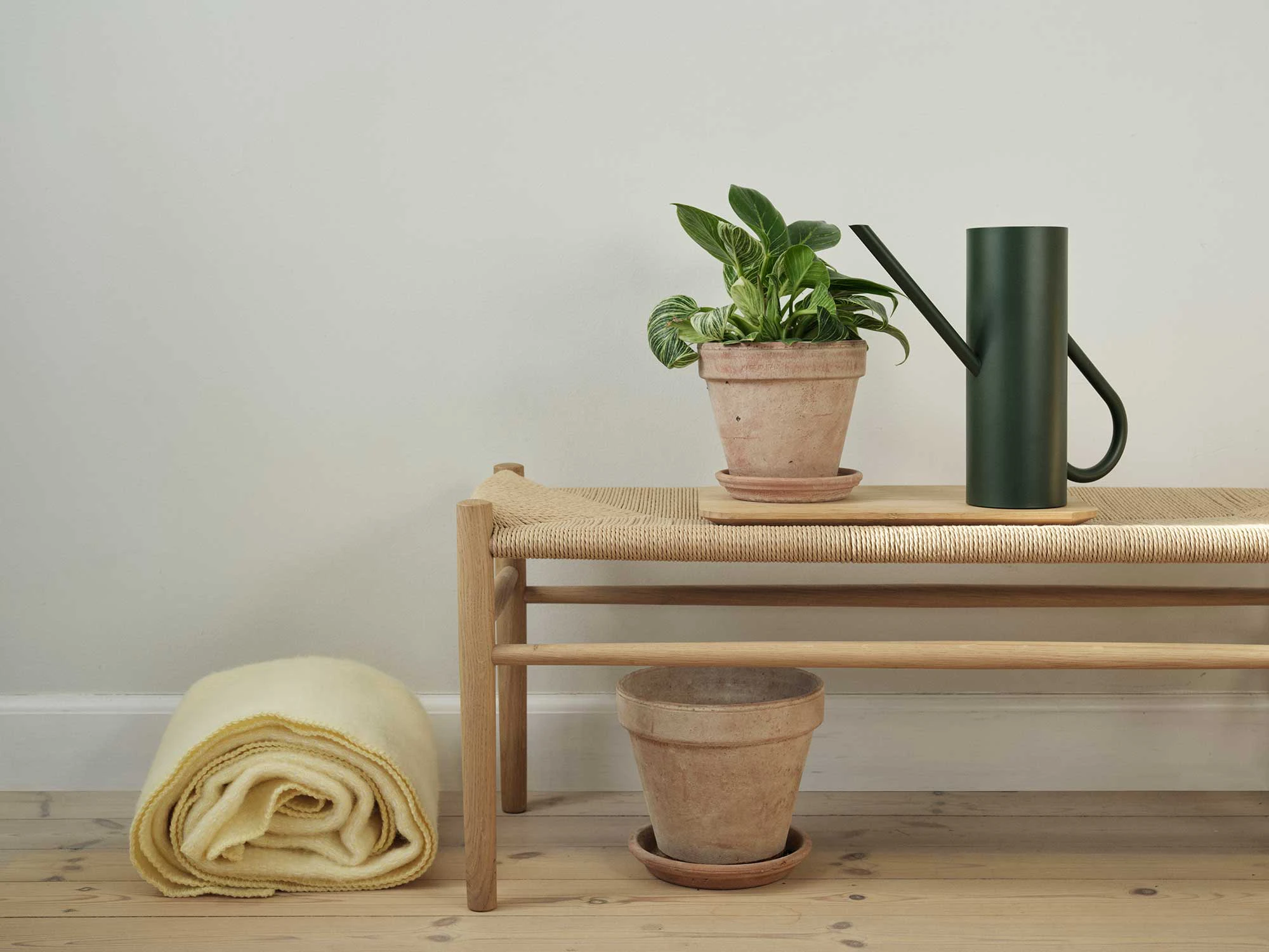 Stelton Bloom Vattenkanna 2 L, pine från Stelton, bild 3