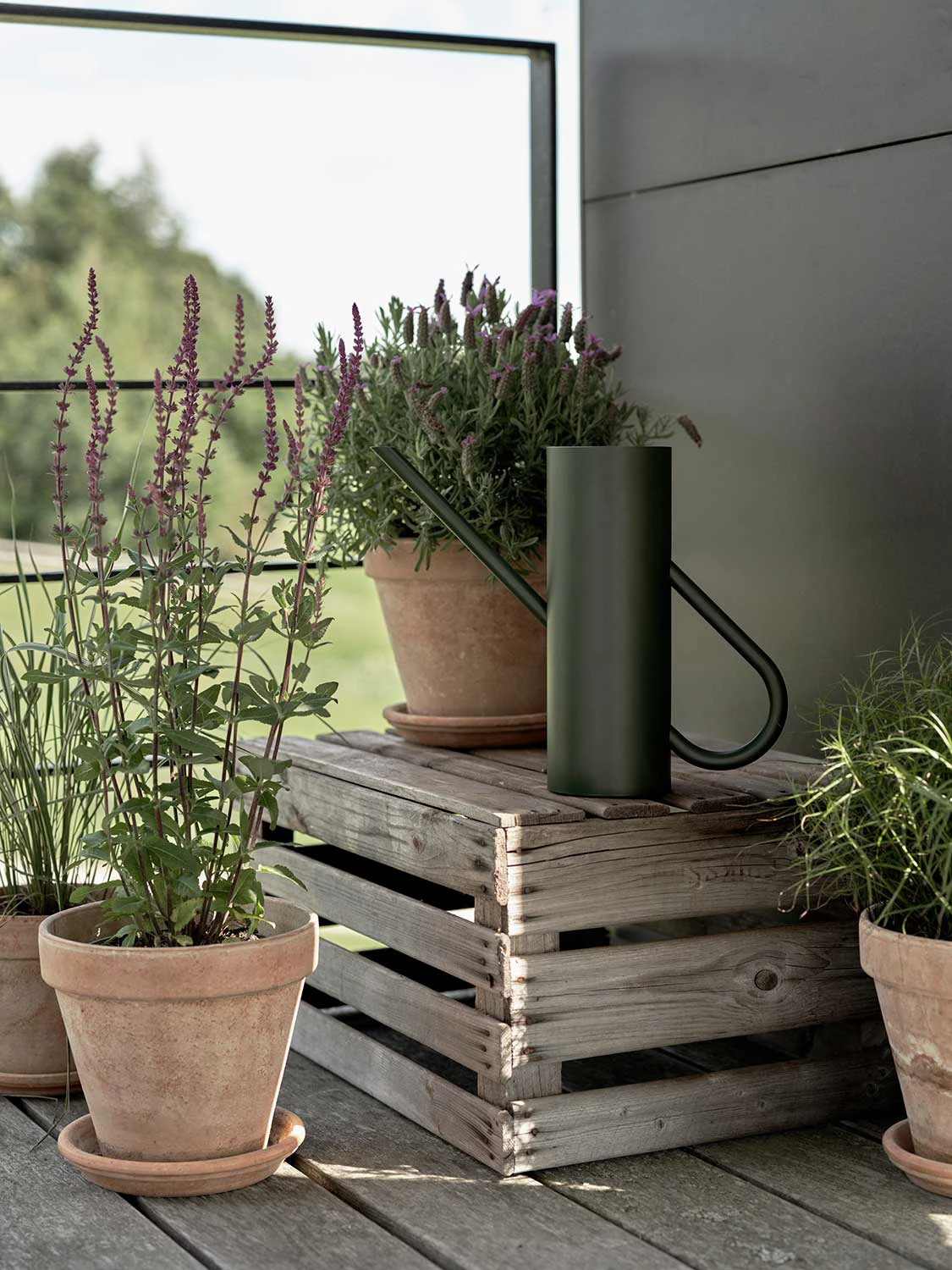 Stelton Bloom Vattenkanna 2 L, pine från Stelton, bild 2