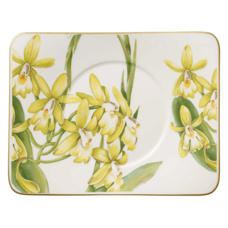 Amazonia Fat till Tekopp