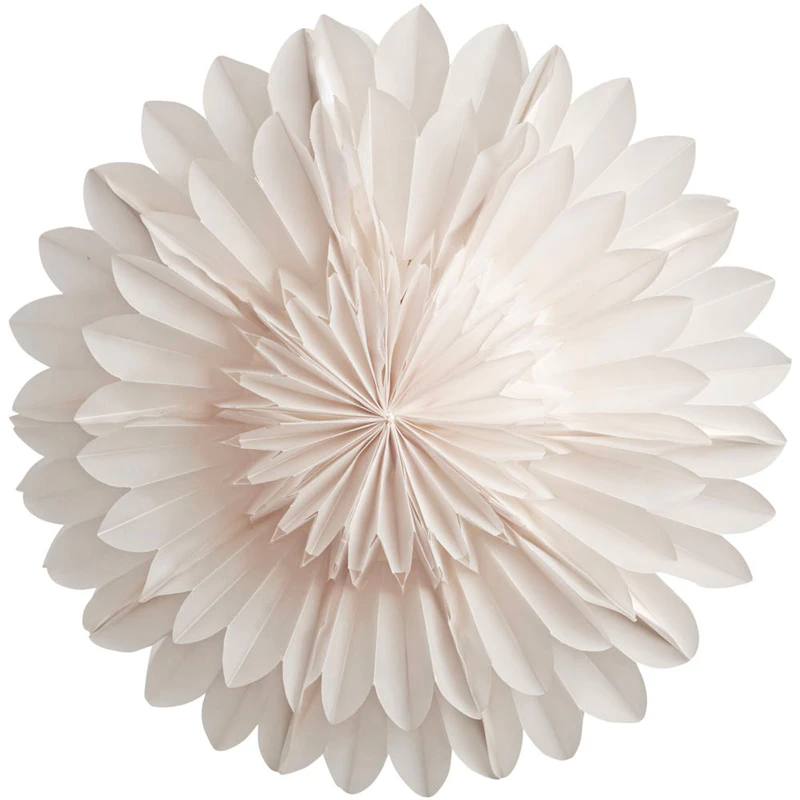 Lotus 44 Julstjärna, Vit