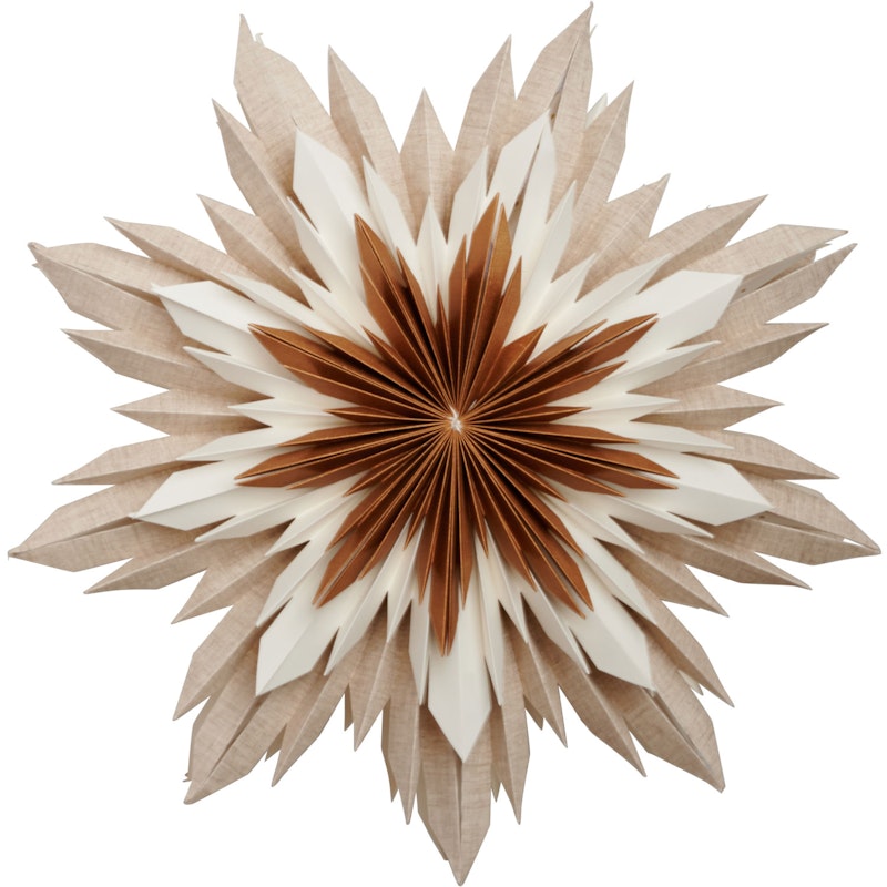 Marta 60 Julstjärna, Brun