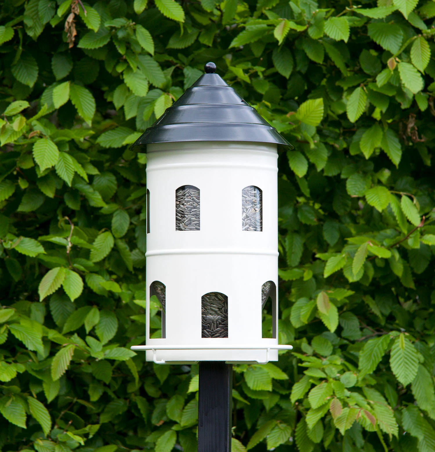 Wildlife Garden Gigantmatare Fågelmatare 6 l, vit från Wildlife Garden, bild 2